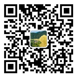 澳发彩票平台
